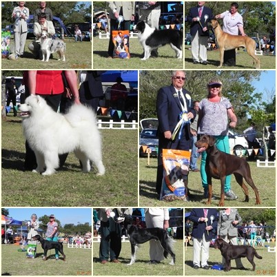 Show Winners